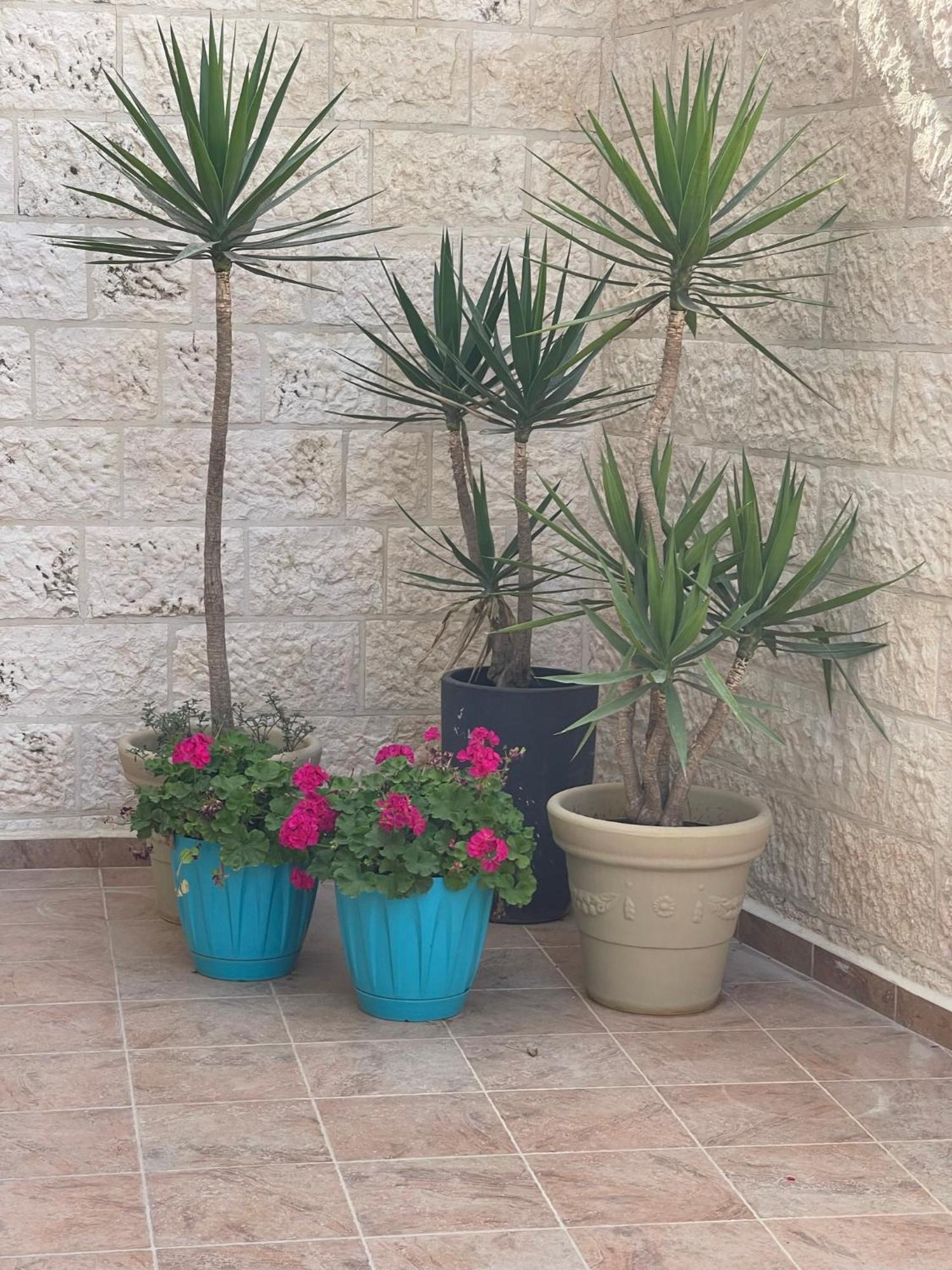 Away From With A Beautiful Balcony View 3 Bedrooms 2 Bathrooms * Amã